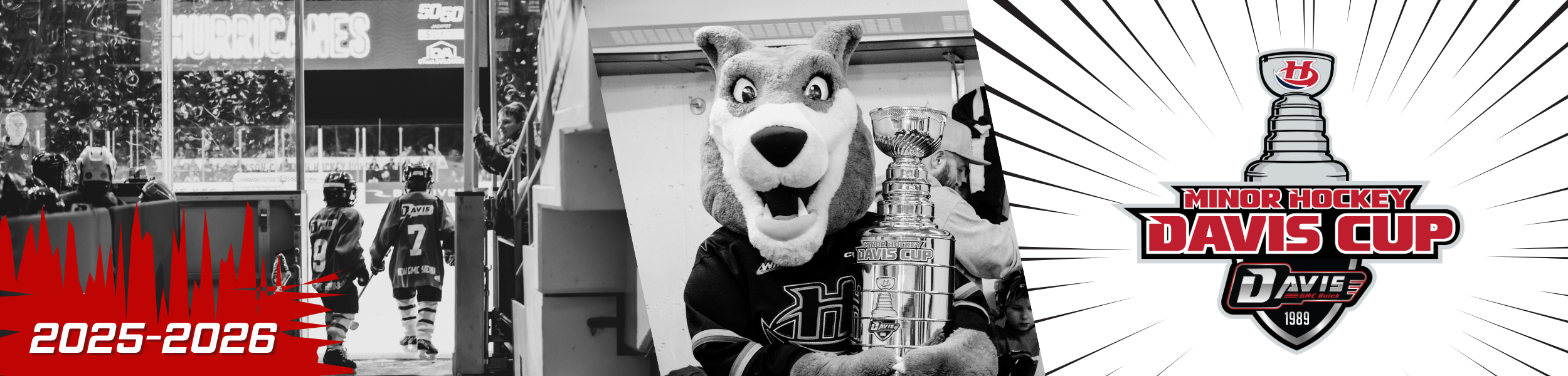 Banner Davis Cup 2025-2026 (1)